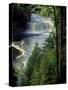 Tahquamenon Falls, Tahquamenon Falls State Park, Michigan, USA-Claudia Adams-Stretched Canvas