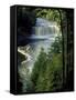 Tahquamenon Falls, Tahquamenon Falls State Park, Michigan, USA-Claudia Adams-Framed Stretched Canvas