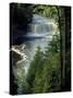 Tahquamenon Falls, Tahquamenon Falls State Park, Michigan, USA-Claudia Adams-Stretched Canvas