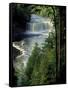 Tahquamenon Falls, Tahquamenon Falls State Park, Michigan, USA-Claudia Adams-Framed Stretched Canvas