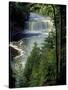 Tahquamenon Falls, Tahquamenon Falls State Park, Michigan, USA-Claudia Adams-Stretched Canvas