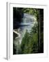 Tahquamenon Falls, Tahquamenon Falls State Park, Michigan, USA-Claudia Adams-Framed Premium Photographic Print