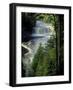 Tahquamenon Falls, Tahquamenon Falls State Park, Michigan, USA-Claudia Adams-Framed Photographic Print