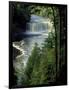 Tahquamenon Falls, Tahquamenon Falls State Park, Michigan, USA-Claudia Adams-Framed Photographic Print