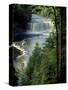 Tahquamenon Falls, Tahquamenon Falls State Park, Michigan, USA-Claudia Adams-Stretched Canvas