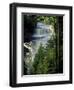 Tahquamenon Falls, Tahquamenon Falls State Park, Michigan, USA-Claudia Adams-Framed Photographic Print