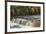 Tahquamenon Falls, Tahquamenon Falls State Park, Whitefish, Michigan.-Adam Jones-Framed Premium Photographic Print