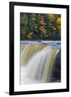 Tahquamenon Falls, Tahquamenon Falls State Park, Whitefish, Michigan.-Adam Jones-Framed Premium Photographic Print