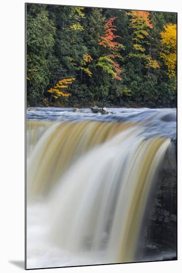 Tahquamenon Falls, Tahquamenon Falls State Park, Whitefish, Michigan.-Adam Jones-Mounted Premium Photographic Print