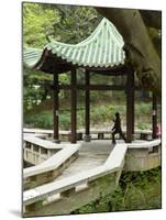 Tai Chi Chuan in the Chinese Garden Pavilion at Kowloon Park, Tsim Sha Tsui Area, Hong Kong, China-Charles Crust-Mounted Photographic Print