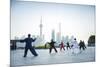 Tai Chi on the Bund (With Pudong Skyline Behind), Shanghai, China-Jon Arnold-Mounted Photographic Print