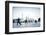 Tai Chi on the Bund (With Pudong Skyline Behind), Shanghai, China-Jon Arnold-Framed Photographic Print