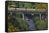 Taieri Gorge Train Crossing Taieri River, South Island, New Zealand-David Wall-Framed Stretched Canvas