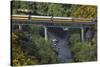 Taieri Gorge Train Crossing Taieri River, South Island, New Zealand-David Wall-Stretched Canvas