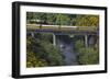 Taieri Gorge Train Crossing Taieri River, South Island, New Zealand-David Wall-Framed Photographic Print