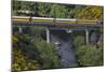 Taieri Gorge Train Crossing Taieri River, South Island, New Zealand-David Wall-Mounted Photographic Print