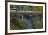 Taieri Gorge Train Crossing Taieri River, South Island, New Zealand-David Wall-Framed Photographic Print