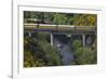 Taieri Gorge Train Crossing Taieri River, South Island, New Zealand-David Wall-Framed Photographic Print