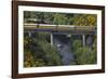 Taieri Gorge Train Crossing Taieri River, South Island, New Zealand-David Wall-Framed Photographic Print