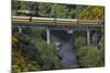 Taieri Gorge Train Crossing Taieri River, South Island, New Zealand-David Wall-Mounted Photographic Print