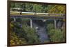 Taieri Gorge Train Crossing Taieri River, South Island, New Zealand-David Wall-Framed Photographic Print