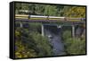 Taieri Gorge Train Crossing Taieri River, South Island, New Zealand-David Wall-Framed Stretched Canvas