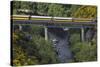 Taieri Gorge Train Crossing Taieri River, South Island, New Zealand-David Wall-Stretched Canvas