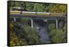 Taieri Gorge Train Crossing Taieri River, South Island, New Zealand-David Wall-Framed Stretched Canvas