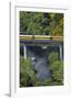 Taieri Gorge Train Crossing Taieri River, South Island, New Zealand-David Wall-Framed Photographic Print