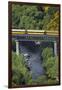 Taieri Gorge Train Crossing Taieri River, South Island, New Zealand-David Wall-Framed Photographic Print