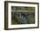 Taieri Gorge Train Crossing Taieri River, South Island, New Zealand-David Wall-Framed Photographic Print