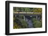 Taieri Gorge Train Crossing Taieri River, South Island, New Zealand-David Wall-Framed Photographic Print