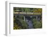 Taieri Gorge Train Crossing Taieri River, South Island, New Zealand-David Wall-Framed Photographic Print