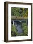 Taieri Gorge Train Crossing Taieri River, South Island, New Zealand-David Wall-Framed Photographic Print