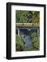 Taieri Gorge Train Crossing Taieri River, South Island, New Zealand-David Wall-Framed Photographic Print