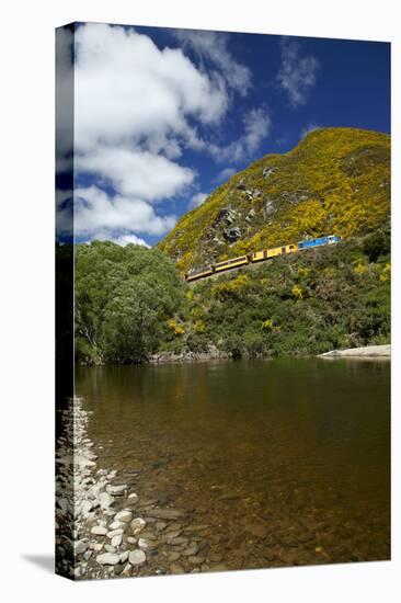 Taieri River and Taieri Gorge Train, South Island, New Zealand-David Wall-Stretched Canvas