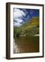 Taieri River and Taieri Gorge Train, South Island, New Zealand-David Wall-Framed Photographic Print