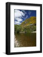 Taieri River and Taieri Gorge Train, South Island, New Zealand-David Wall-Framed Photographic Print