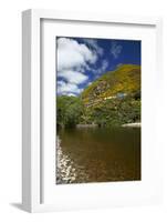 Taieri River and Taieri Gorge Train, South Island, New Zealand-David Wall-Framed Photographic Print