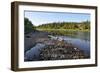 Taiga River Paga, Virgin Komi Forests.-sergunt-Framed Photographic Print