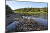 Taiga River Paga, Virgin Komi Forests.-sergunt-Mounted Photographic Print