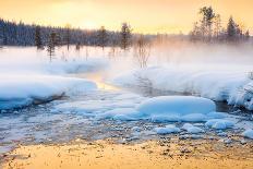 Beautiful Northern Winter Landscape - Sunset, Snow Covered Pine Trees and Big Snowbanks-Taiga-Stretched Canvas