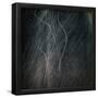 Essential Black