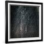 Gramercy Black