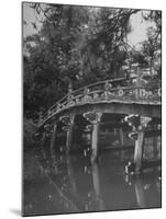 Taikobashi Bridge in the Kyoto Imperial Gardens-Dmitri Kessel-Mounted Photographic Print