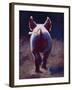 Tail End-Cheri Christensen-Framed Giclee Print