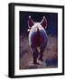 Tail End-Cheri Christensen-Framed Premium Giclee Print