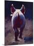 Tail End-Cheri Christensen-Mounted Giclee Print