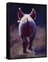 Tail End-Cheri Christensen-Framed Stretched Canvas