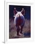 Tail End-Cheri Christensen-Framed Giclee Print